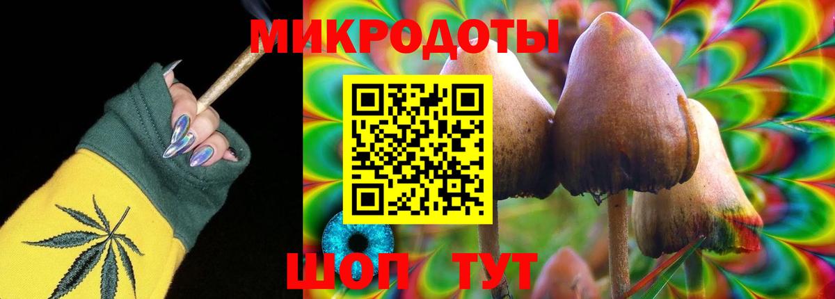 Галлюциногенные грибы Cubensis  Вход с VPN  Волгоград  Галлюциногенные грибы мухоморы 
